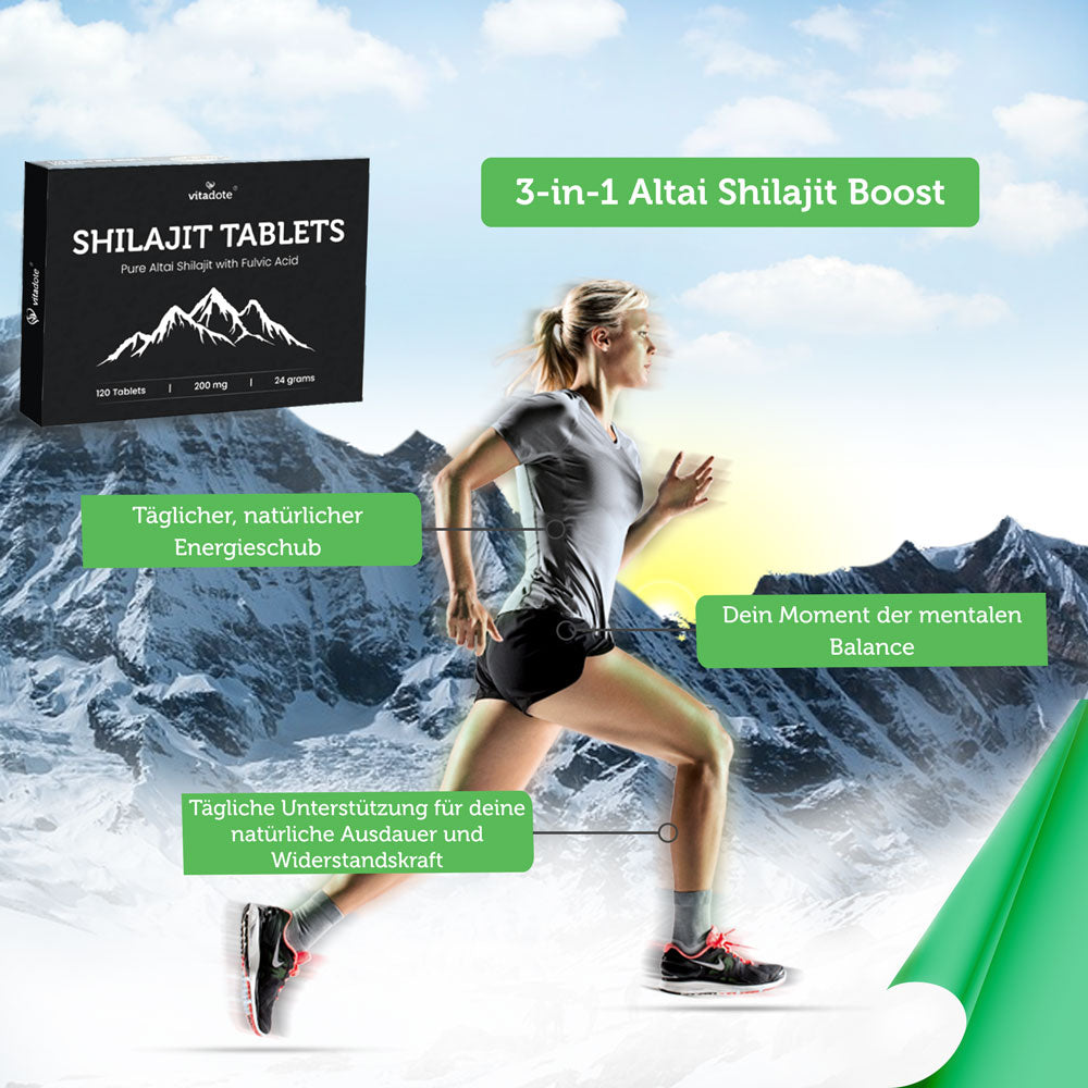 Vitadote Pure Shilajit Tabletten Altai Fulvosäure